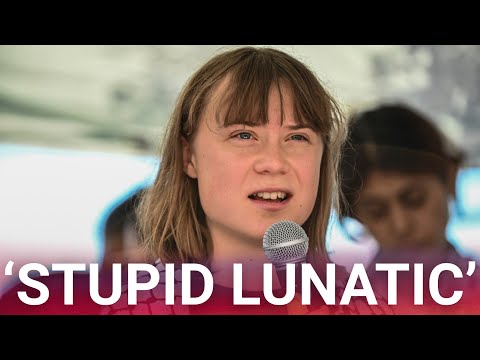 Greta Thunberg disgracefully banned from Venice after dying canal green in protest