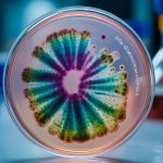 The Enzyme Revolution: How Engineering Nature’s Catalysts is Transforming Medicine, Food & the Planet