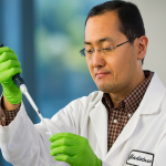 Rewinding the Clock: How Yamanaka Factors Are Resetting Aging Cells