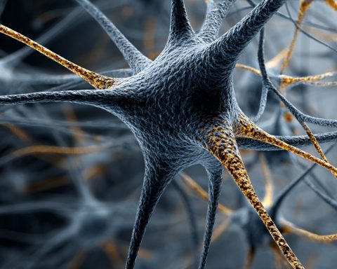 Neuromorphic Computing: The Brain-Inspired Tech Revolutionizing AI and Beyond