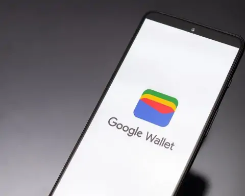 Your Driver’s License Is Going Digital: 10 States Now Accept IDs in Google & Apple Wallets