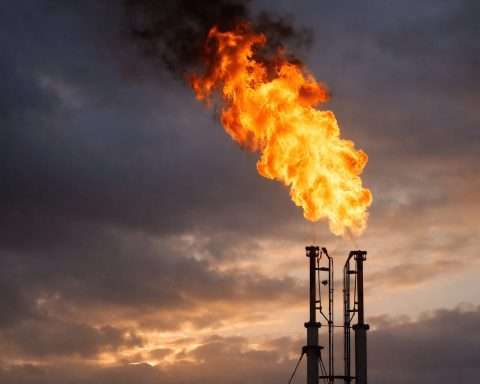 Natural gas price heads into Presidents’ Day week down 5% as traders track LNG flows and storage