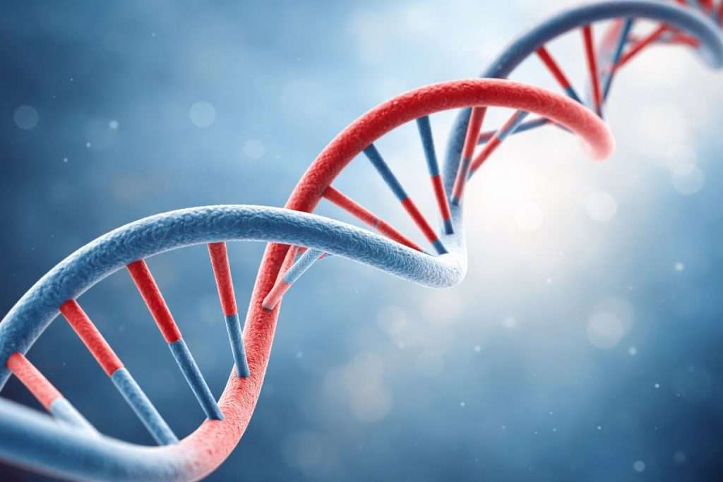 U.S. senators move to police synthetic DNA sales as bioweapon fears sharpen