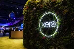 Xero’s Stock Bounce Has a Catch as AI Hopes Face a Profit Squeeze