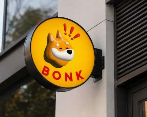 BNKK Revenue Jumps, Bonk Stock Sinks