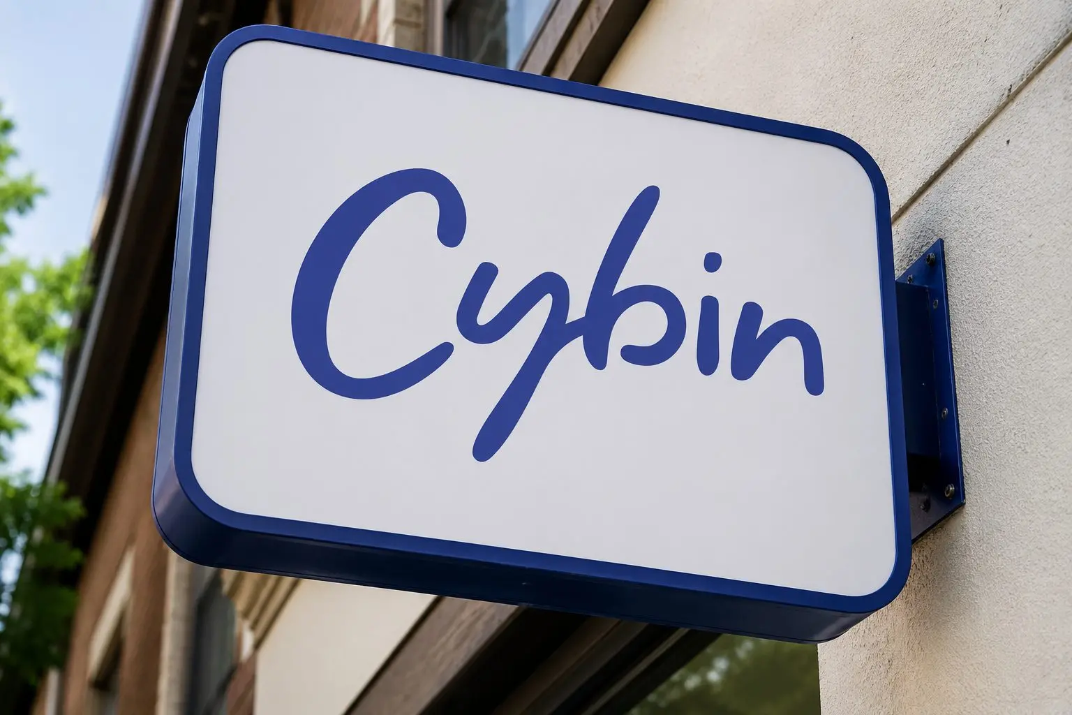 Cybin Shares Up Slightly as HELP Backers Focus on Main Trial