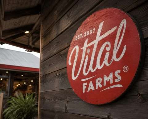 Vital Farms Shares Fall as Egg Glut Drags On, Nasdaq Sets New Highs