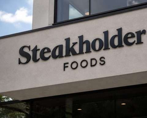 Steakholder Foods Shares Dip Toward Warrant Level as Investors Look at Cash Situation