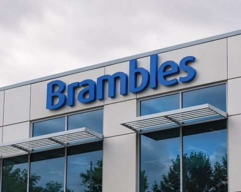 Brambles Share Price Rebounds as Buyback Continues: Is ASX:BXB Still Risky?